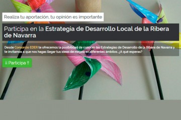 ESTRATEGIAS DE DESARROLLO LOCAL PARTICIPATIVAS