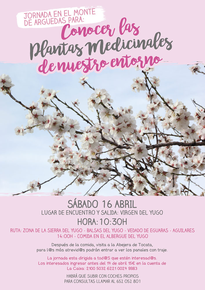 Cartel-Conocer-Plantas-Medicinales-16.04.16-3