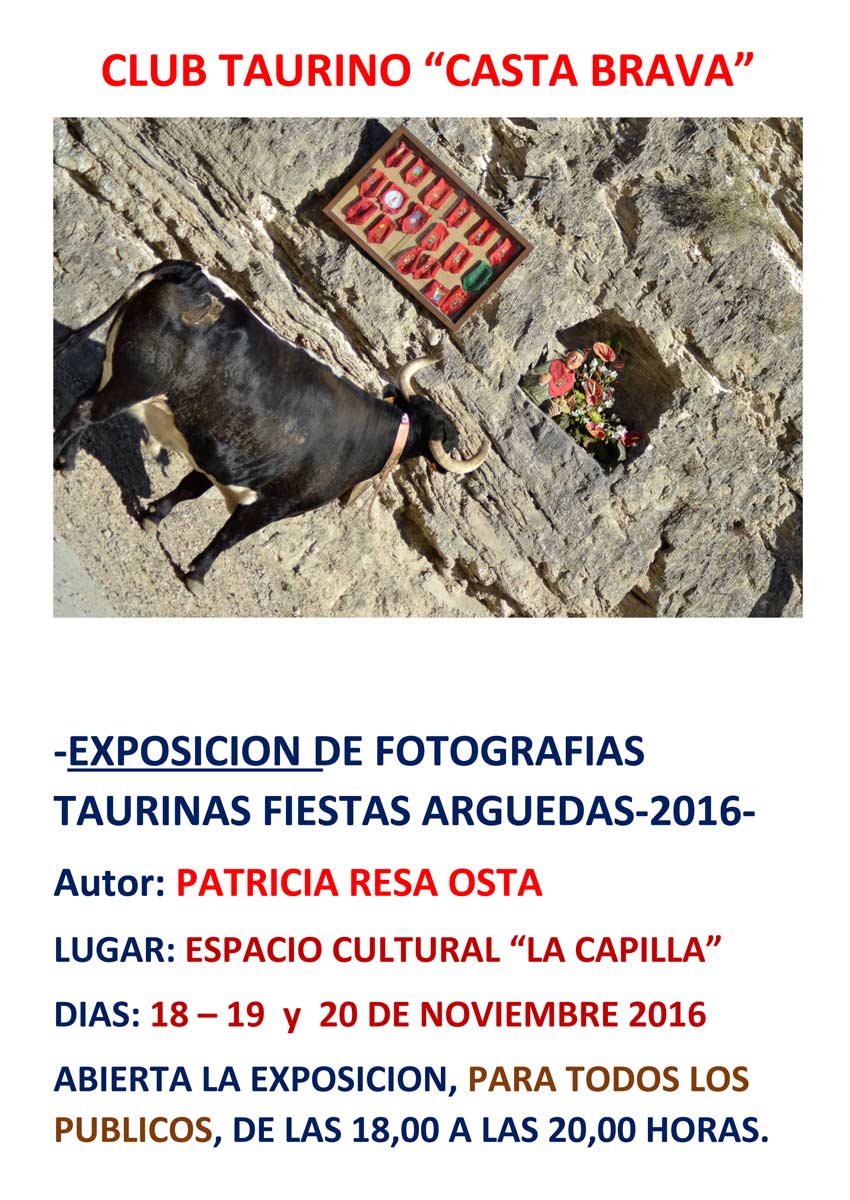 exposicion-taurina-arguedas-2016-cartel